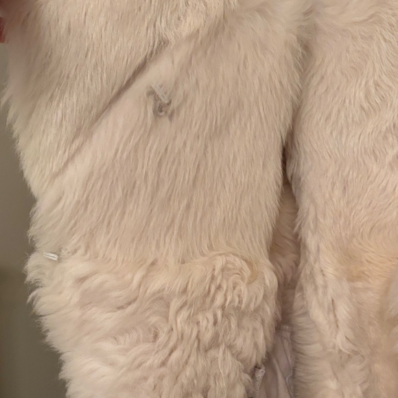 BCBGMaxAzria Cream Shearling Jacket with Fur Trim - Picture 5 of 11
